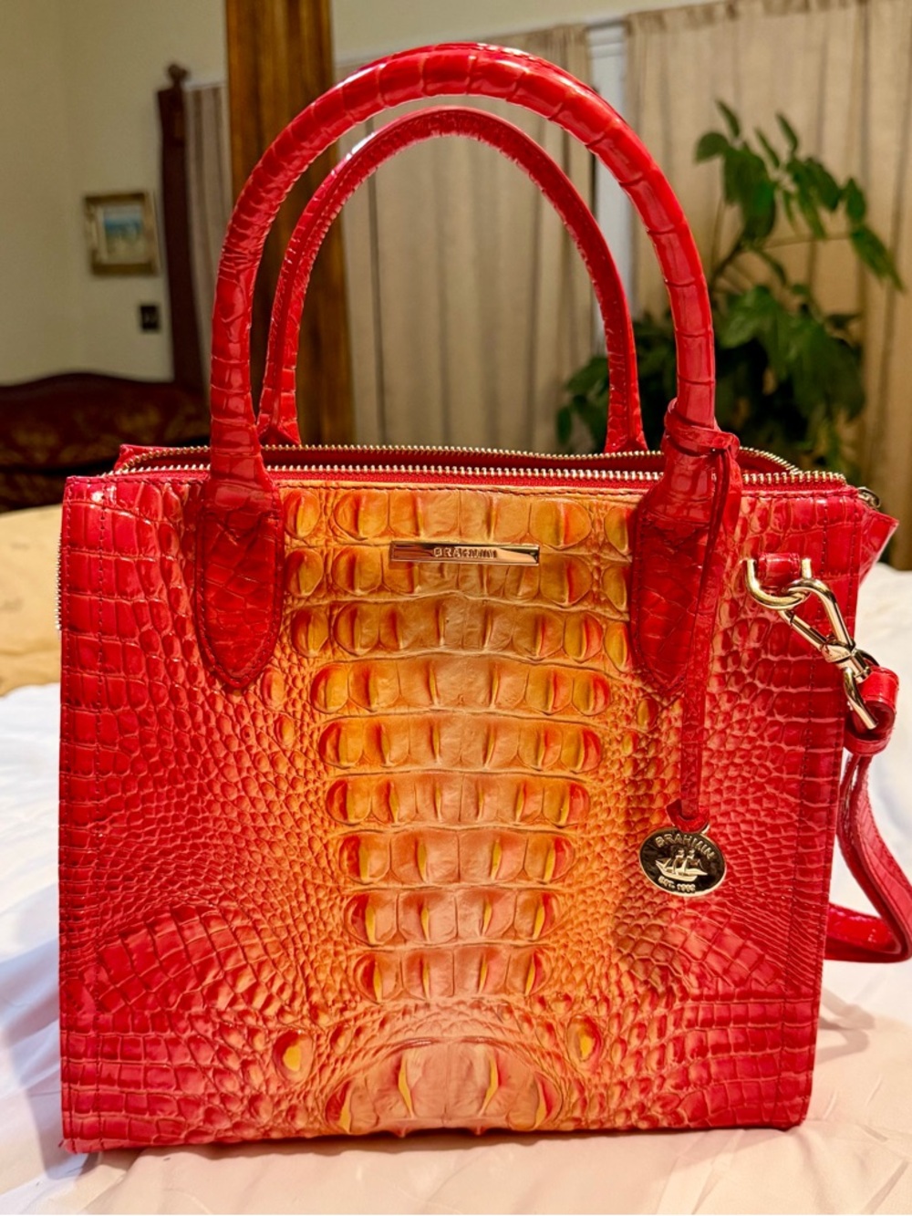 Brahmin Small Caroline Infusion Ombre Handbag Purse NWOT - Retired - Used 1x